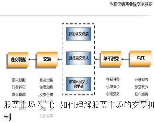 股票市场入门：如何理解股票市场的交易机制