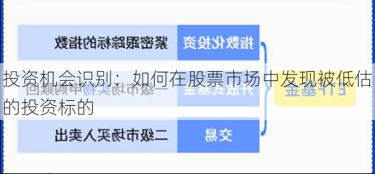 投资机会识别：如何在股票市场中发现被低估的投资标的