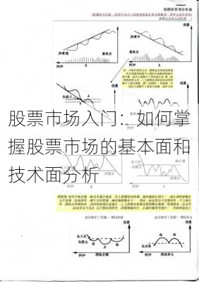 股票市场入门：如何掌握股票市场的基本面和技术面分析