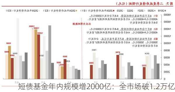 短债基金年内规模增2000亿：全市场破1.2万亿