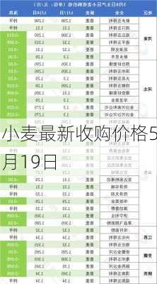 小麦最新收购价格5月19日