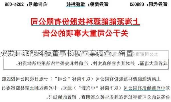 突发！派能科技董事长被立案调查、留置