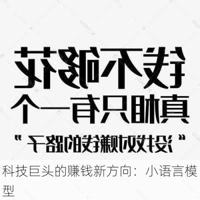 科技巨头的赚钱新方向：小语言模型