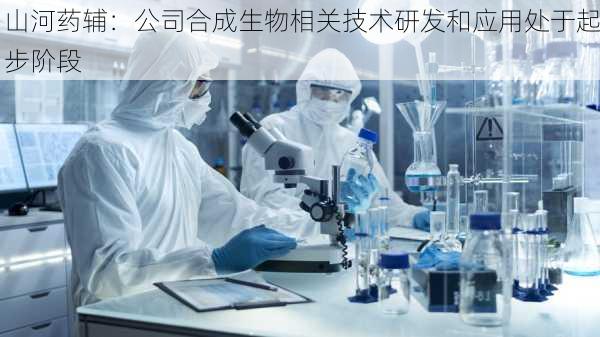 山河药辅：公司合成生物相关技术研发和应用处于起步阶段