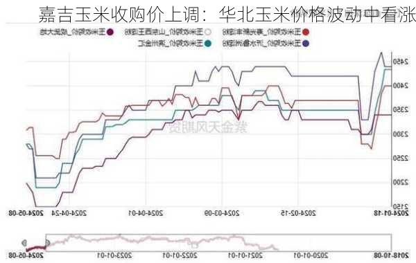 嘉吉玉米收购价上调：华北玉米价格波动中看涨