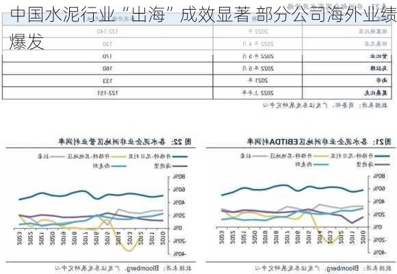 中国水泥行业“出海”成效显著 部分公司海外业绩爆发