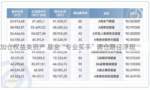 加仓权益类资产 基金“专业买手”调仓路径浮现