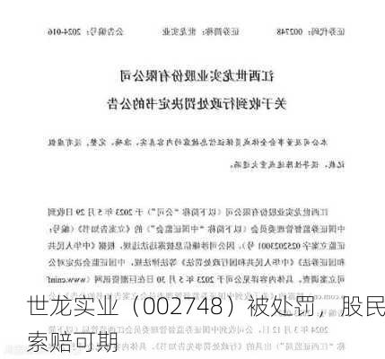 世龙实业（002748）被处罚，股民索赔可期