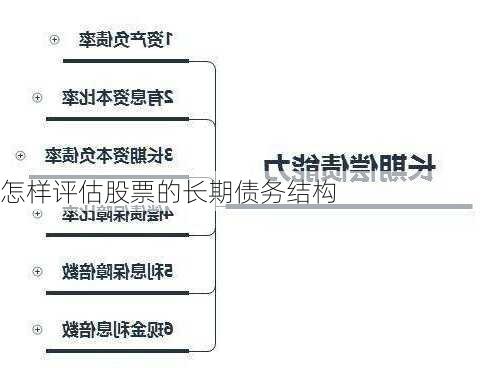 怎样评估股票的长期债务结构