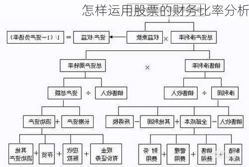 怎样运用股票的财务比率分析