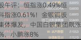 港股午评：恒指涨0.49%恒生科指涨0.61%！金银铜板块集体爆发，中国白银集团飙涨50%，小鹏涨8%