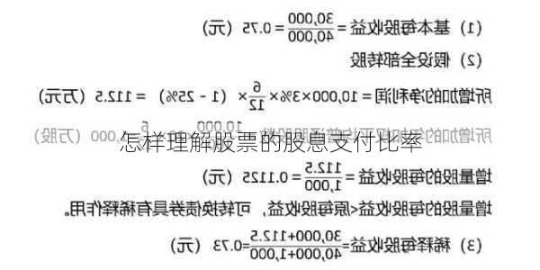 怎样理解股票的股息支付比率