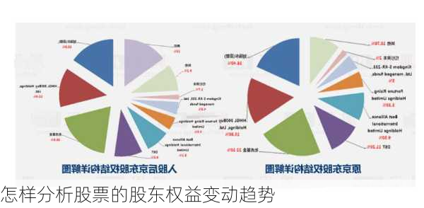 怎样分析股票的股东权益变动趋势