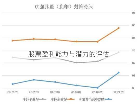 股票盈利能力与潜力的评估