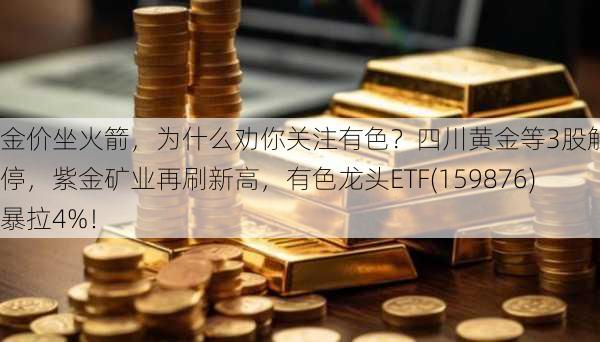 金价坐火箭，为什么劝你关注有色？四川黄金等3股触及涨停，紫金矿业再刷新高，有色龙头ETF(159876)暴拉4%！