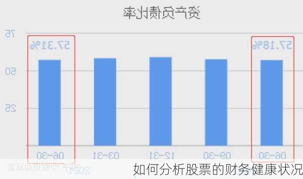 如何分析股票的财务健康状况