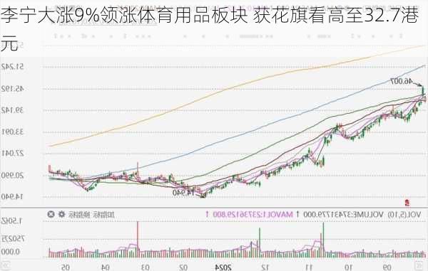 李宁大涨9%领涨体育用品板块 获花旗看高至32.7港元