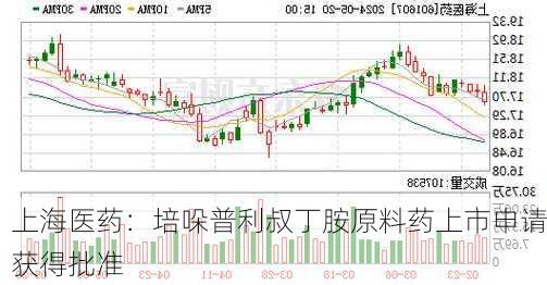 上海医药：培哚普利叔丁胺原料药上市申请获得批准