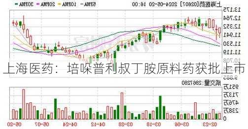 上海医药：培哚普利叔丁胺原料药获批上市