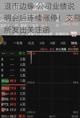 退市边缘 公司业绩说明会后连续涨停！交易所发出关注函