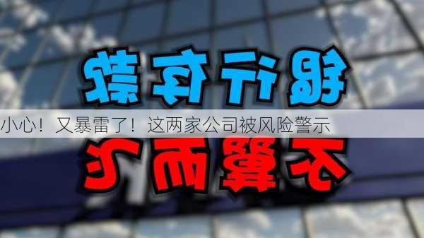 小心！又暴雷了！这两家公司被风险警示