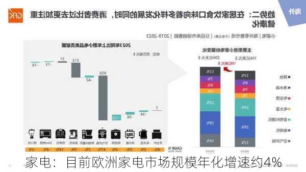 家电：目前欧洲家电市场规模年化增速约4%