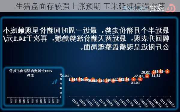 生猪盘面存较强上涨预期 玉米延续偏强震荡