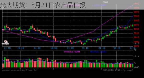 光大期货：5月21日农产品日报