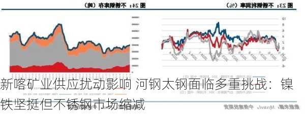 新喀矿业供应扰动影响 河钢太钢面临多重挑战：镍铁坚挺但不锈钢市场缩减