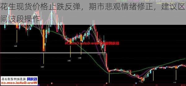 花生现货价格止跌反弹，期市悲观情绪修正，建议区间波段操作