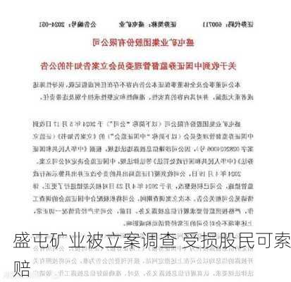 盛屯矿业被立案调查 受损股民可索赔