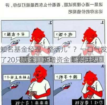 知名基金经理“整活儿”？一口气发了20只基金，新增资金即将抵达！