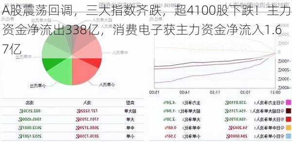 A股震荡回调，三大指数齐跌，超4100股下跌！主力资金净流出338亿，消费电子获主力资金净流入1.67亿