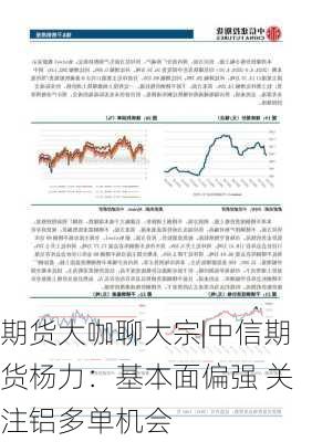 期货大咖聊大宗|中信期货杨力：基本面偏强 关注铝多单机会