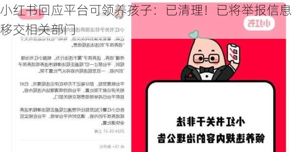 小红书回应平台可领养孩子：已清理！已将举报信息移交相关部门