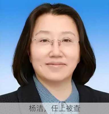 杨洁，任上被查