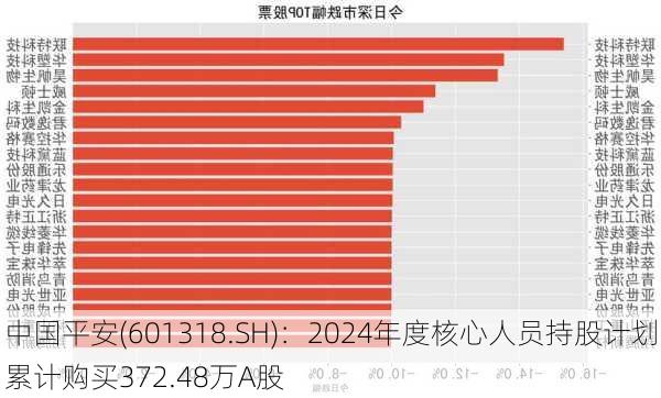 中国平安(601318.SH)：2024年度核心人员持股计划累计购买372.48万A股