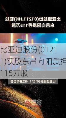 比亚迪股份(01211)获股东吕向阳质押115万股