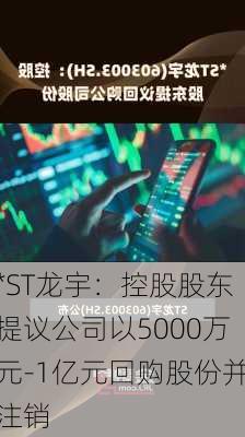 *ST龙宇：控股股东提议公司以5000万元-1亿元回购股份并注销