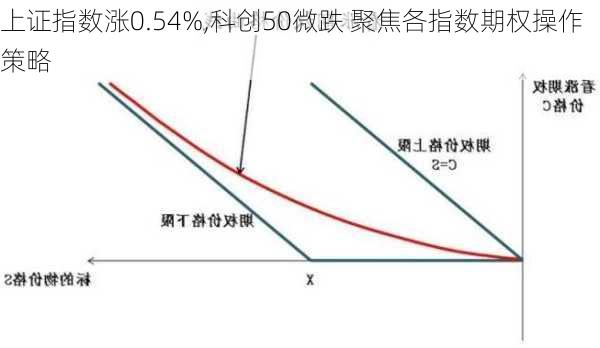 上证指数涨0.54%,科创50微跌 聚焦各指数期权操作策略