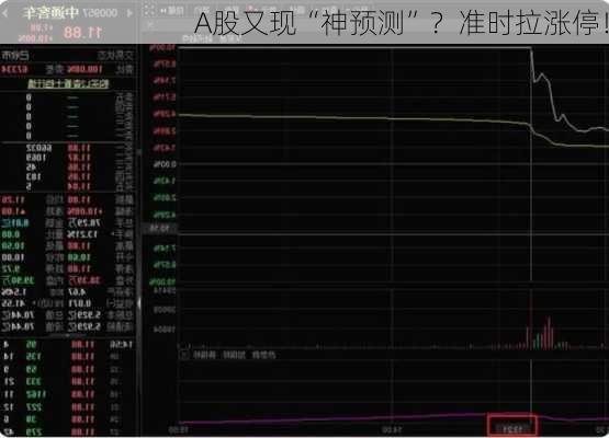 A股又现“神预测”？准时拉涨停！