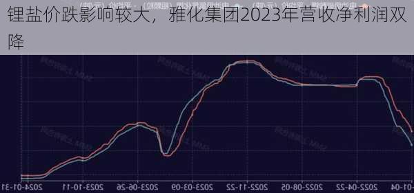 锂盐价跌影响较大，雅化集团2023年营收净利润双降