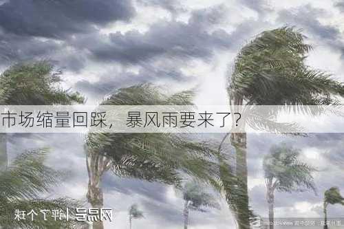 市场缩量回踩，暴风雨要来了？