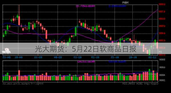 光大期货：5月22日软商品日报