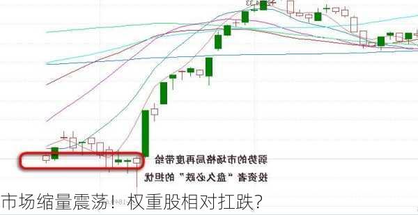 市场缩量震荡！权重股相对扛跌？