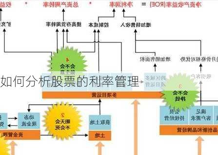 如何分析股票的利率管理