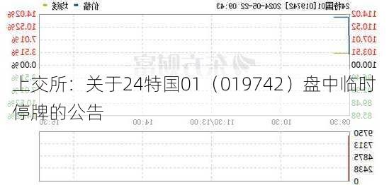上交所：关于24特国01（019742）盘中临时停牌的公告