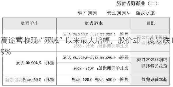 高途营收现“双减”以来最大增幅，股价却一度暴跌19%