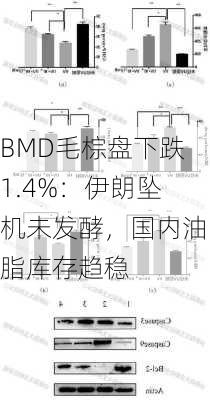 BMD毛棕盘下跌1.4%：伊朗坠机未发酵，国内油脂库存趋稳