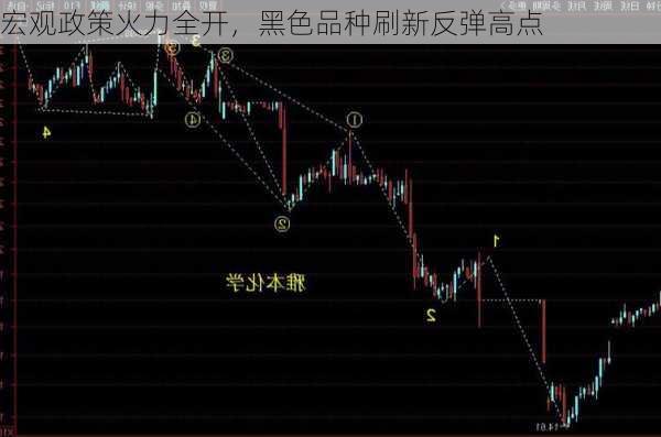 宏观政策火力全开，黑色品种刷新反弹高点